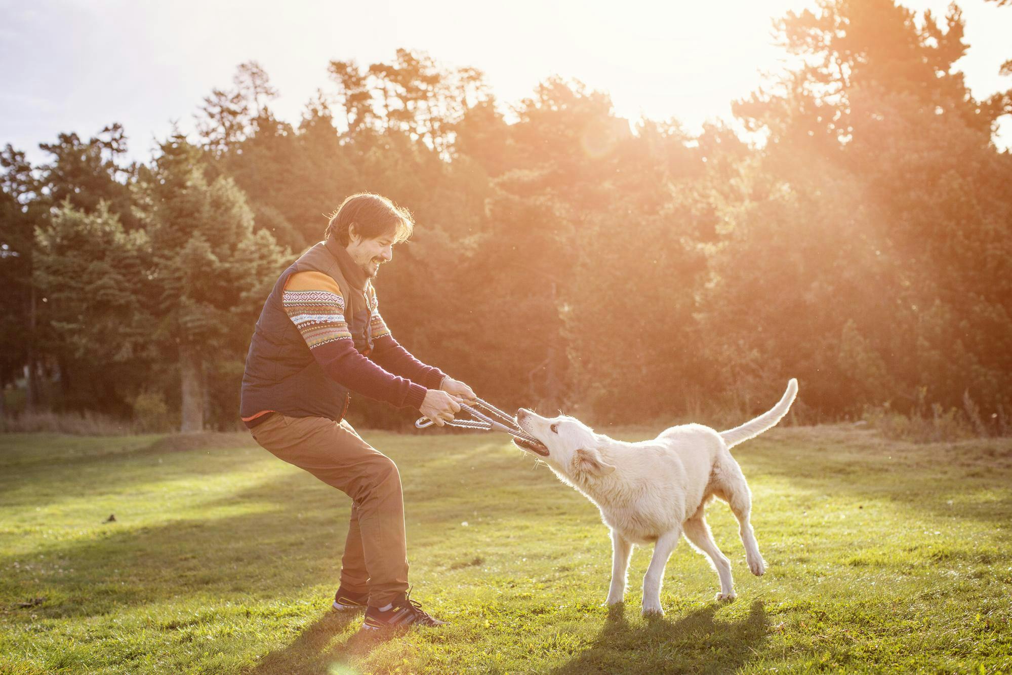 Man playing with dog 537450091.jpeg