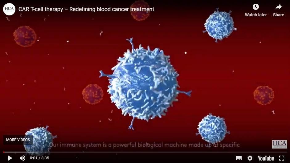 T-cell video thumbnail