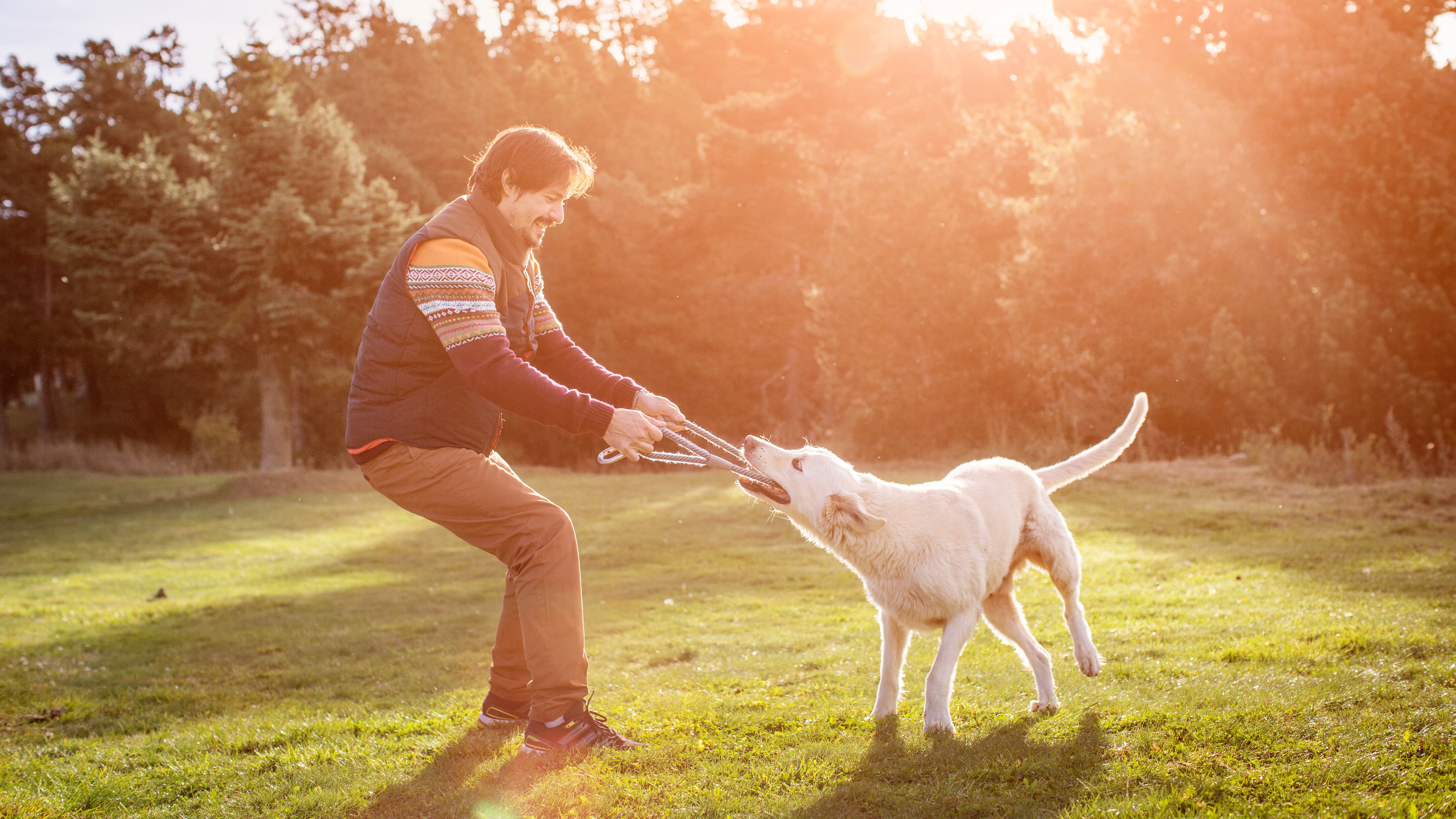 Man playing with dog 537450091.jpeg